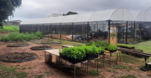 Horto Medicinal do Allan Kardec avan&ccedil;a na estrutura&ccedil;&atilde;o e projeta abertura para visitas 